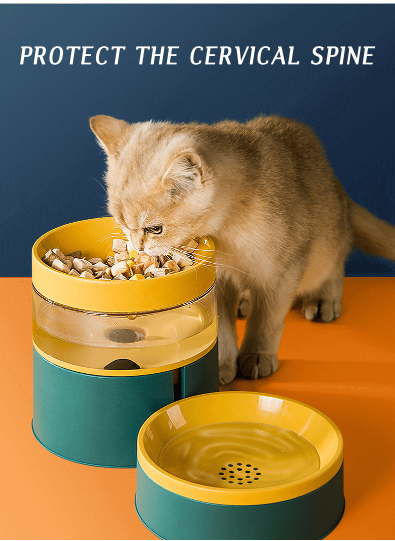 2-in-1 Cat Bowl