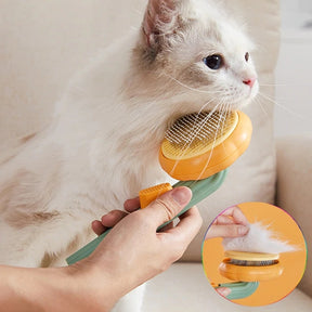 Hand-held Pumpkin Pet Hair Removal Comb