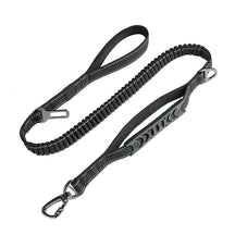 Dog buffer reflective leash