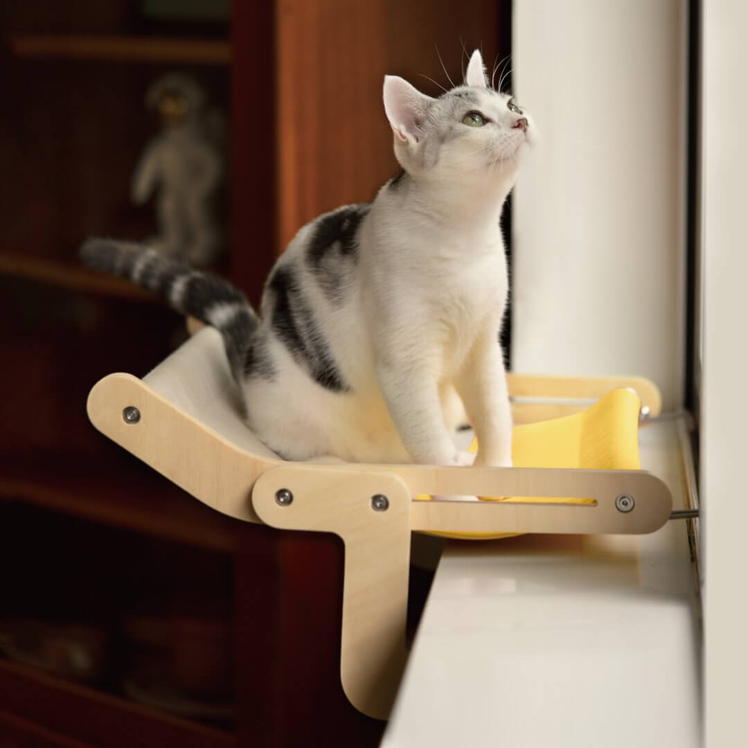 Sturdy Cat Window Perch Wooden Assembly Hanging Bed